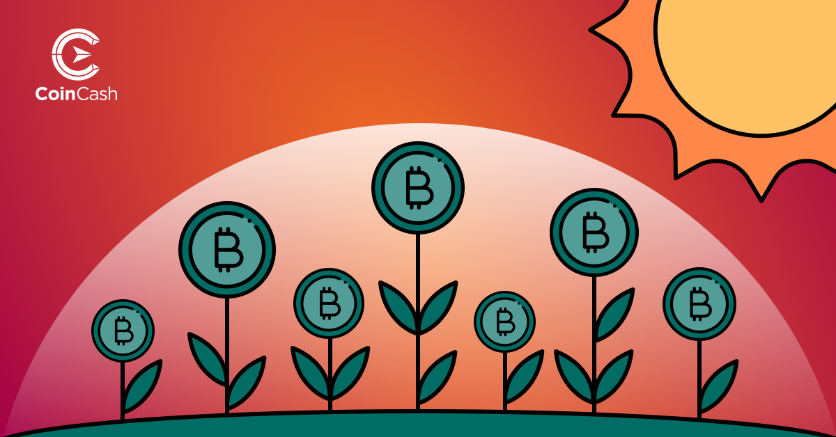 Környezetbarát Bitcoin bányászat